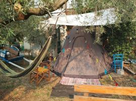 ART CAMP，位于尼亚米卡尼奥纳的豪华帐篷
