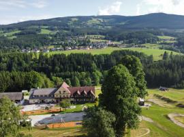 Gasthof Wiesenhofer，位于Miesenbach的住宿加早餐旅馆