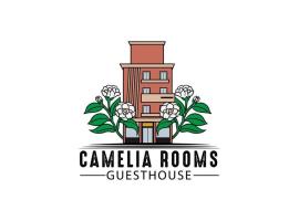 Camelia Rooms Venice Guesthouse，位于梅斯特的酒店