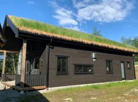 Skarvruet Lodge Funäsdalen
