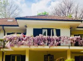 B&B La libellula