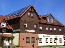 Pension Königshof，位于Königshütte的旅馆