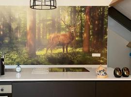 Boerderij appartement De Casterie，位于Bornerbroek的海滩酒店