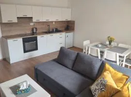 Apartmán Karlovice - Jeseníky