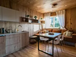 Unique Lipno Apartment