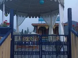 Houseboat Blue Dolphin