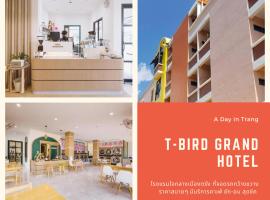 T-Bird Grand Hotel Trang ทีเบิร์ดแกรนด์，位于董里的低价酒店