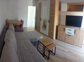Lane Apartmani，位于Veternik的酒店