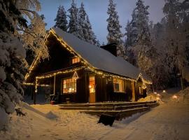 Jänkkärinne Cozy cabin Levi, Lapland，位于基蒂莱的酒店