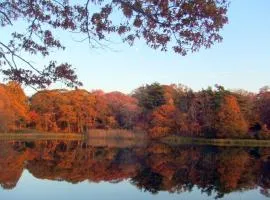 切斯克里克住宿加早餐旅馆