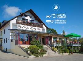Hotel SCHNEIDER，位于阿勒斯贝格的酒店
