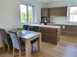 Apartmán Ostrov nad Oslavou，位于Ostrov nad Oslavou的酒店