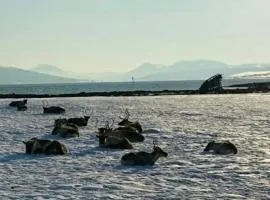 Warm and cozy cottage, Great location