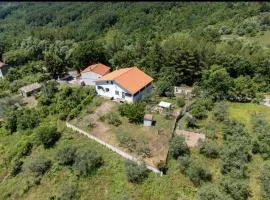 Anthony House