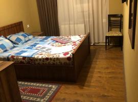 Hotel Nikea Paradiso，位于库塔伊西的酒店
