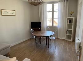 Appartement centre Saumur bord de Loire Les marronniers，位于索米尔的公寓