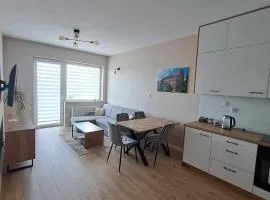 Apartament Długa Uniejów