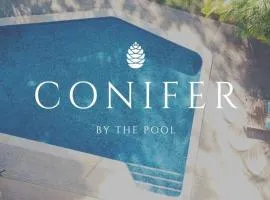 Conifer - Your Private Resort Pool Retreat