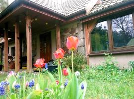 Stone cottage，位于Kolonia Dąbrowica的乡村别墅