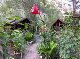 Canario Bungalows