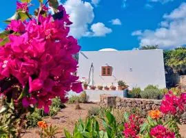 Dammuso Pantelleria - Fiori D'Ossidiana