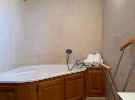 Auberge Le Pot d'etain，位于LʼIsle-sur-Serein的酒店