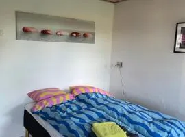 Pedersholt Bed & Breakfast