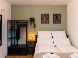 Gemütliches zentrales Apartment, free parking