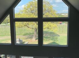 Hamilton Pool Vineyards & Farms，位于Hammetts Crossing的农家乐