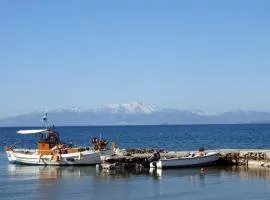 Entire cottage near the beach in Nimporio, Euboea