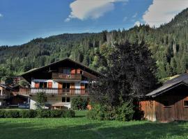 Chalet la Dransette，位于沙泰勒的酒店