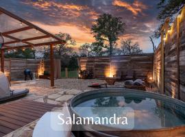 Romantic Tiny Luxury Retreat w heated pool, sauna n outdoor shower in Wimberley 10 acres，位于温伯利的酒店