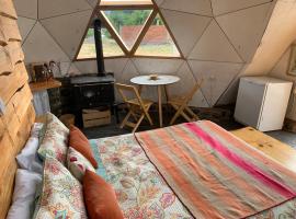 Nomade Patagonia Glamping & Domos，位于特来凡林的酒店