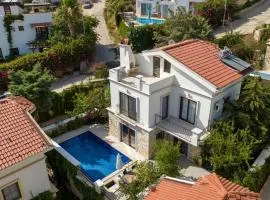 Havuzu, plajı, bahçesi ve olağanüstü manzarasıyla…