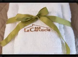 B&B La Caruscia