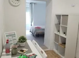 Apartamentos La Campana 1