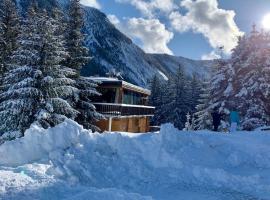 Chalet Robaumont - Grand chalet familial proche du centre et des pistes，位于谷雪维尔的酒店