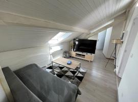 Charmant appartement sous les toits，位于佩里格的酒店
