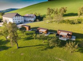 Tiny House Birner Ertl，位于Ertl的酒店