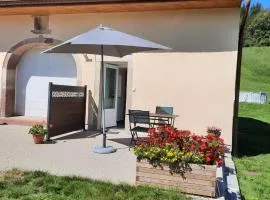Charmant gîte en montagne, 3 étoiles, proche randonnées et Alsace, tout confort avec terrasse. - FR-1-589-391