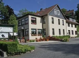 Property in Wildemann