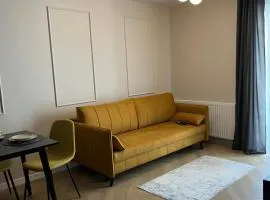 APARTAMENT DISCReeT SLeeP iN CITY CENTER PARKING GARAŻ KOZIA KIELCE