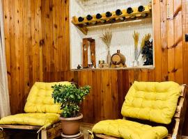 ECO guest house，位于Berd的酒店
