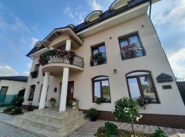 AristoCat Hotels Rasnov，位于莱斯诺夫的住宿加早餐旅馆