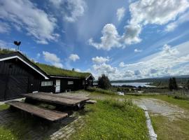 Snikkerplassen - cabin with amazing view and hiking opportunities，位于Sør-Fron的别墅