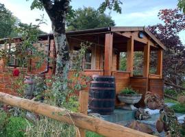 Songbird Lodge - Near brew pub/10 mins from Snowdon，位于卡纳芬的木屋