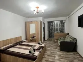 Apartament o camera Radoi