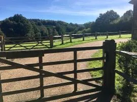 The Annex is in the beautiful Ashdown Forest