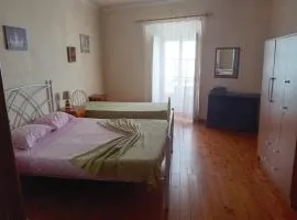 T2 N16 Ref 006