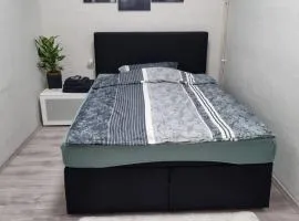 Gästewohnung in der Nähe des Ferienparks Plötzky